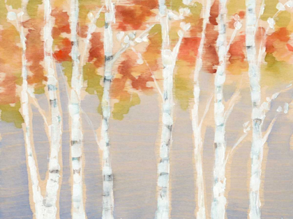 Picture of SWAYING BIRCHES I