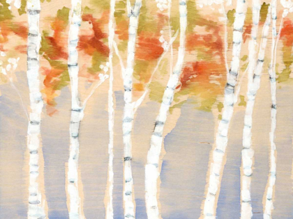 Picture of SWAYING BIRCHES II