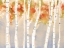 Picture of SWAYING BIRCHES II