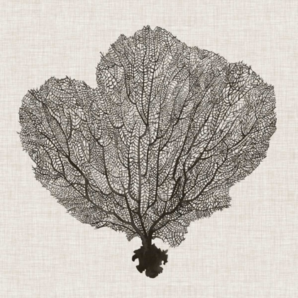 Picture of SHADOW SEA FAN I