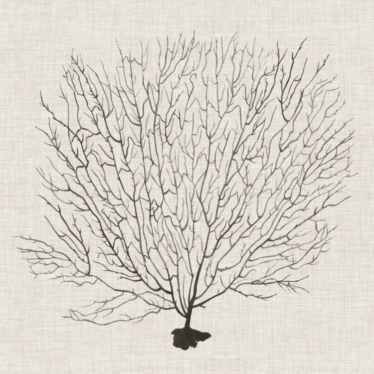 Picture of SHADOW SEA FAN II