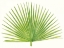 Picture of TROPICAL BREEZE LEAVES III