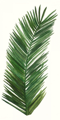 Picture of TROPICAL BREEZE LEAVES V