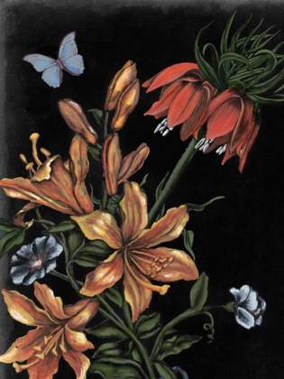 Picture of DARK FLORAL II