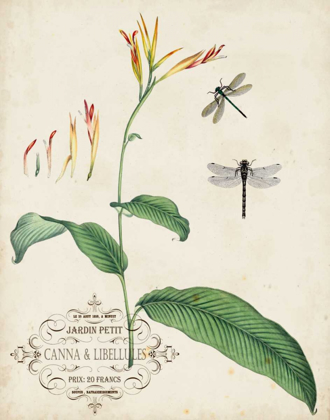 Picture of CANNA AND DRAGONFLIES I