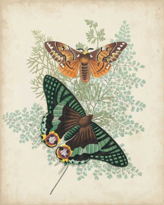 Picture of BUTTERFLIES AND FERNS I