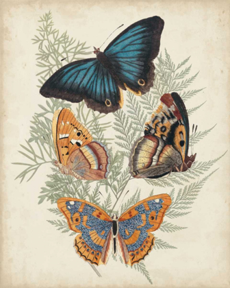 Picture of BUTTERFLIES AND FERNS V