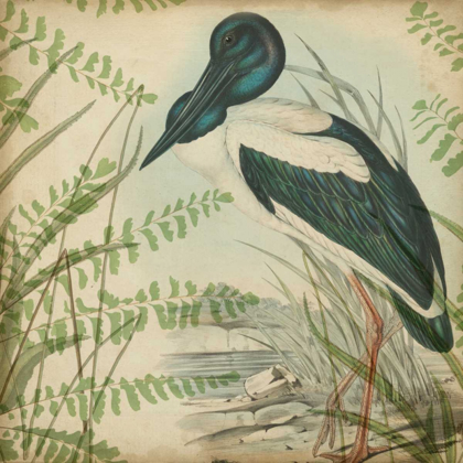 Picture of HERON AND FERNS I