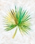 Picture of OCEAN SIDE PALMS  II