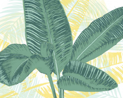 Picture of ILLUSTRATED PALMS I