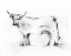 Picture of CHARCOAL BOVINE STUDY III