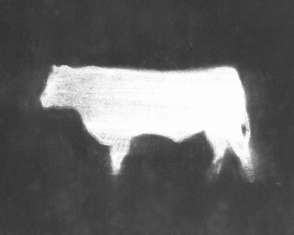 Picture of CHARCOAL BOVINE STUDY IV