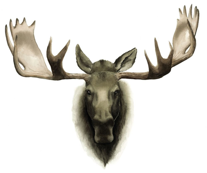 Picture of CUSTOM SINGLE MOOSE 