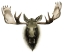 Picture of CUSTOM SINGLE MOOSE 