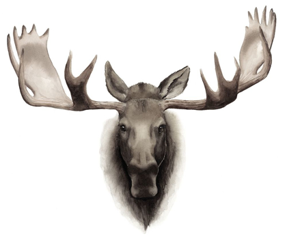 Picture of CUSTOM SINGLE MOOSE 