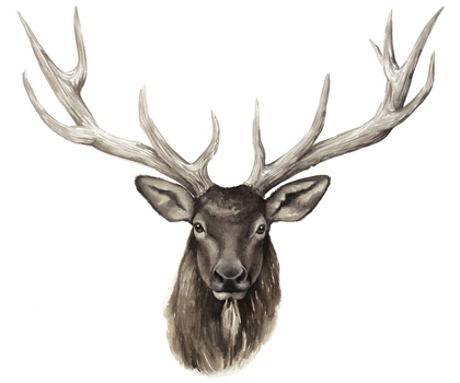 Picture of CUSTOM SINGLE ELK