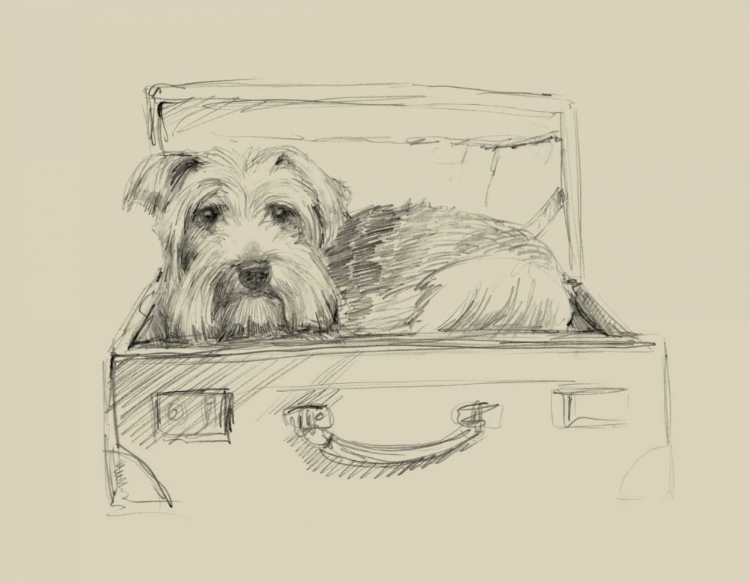 Picture of STOWAWAY I