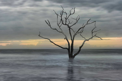 Picture of GRAY SKIES