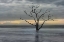 Picture of GRAY SKIES