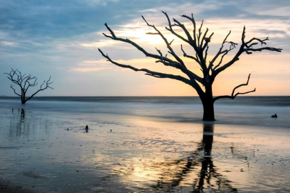 Picture of REFLECTIONS OF BONEYARD BEACH