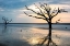 Picture of REFLECTIONS OF BONEYARD BEACH