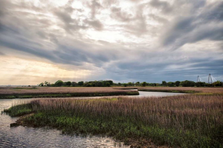 Picture of LOW COUNTRY SUNSET II