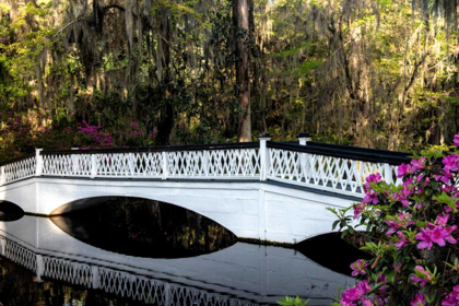 Picture of WHITE BRIDGE REFLECTIONS