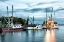Picture of THE SHRIMPING FLEET 
