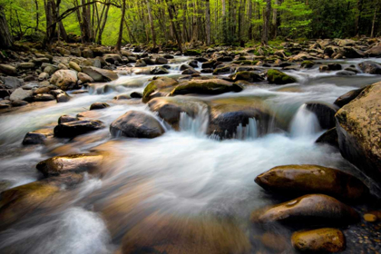 Picture of SPRING ON PORTERS CREEK