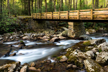 Picture of BRIDGE AND CASCADE I