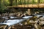 Picture of BRIDGE AND CASCADE I