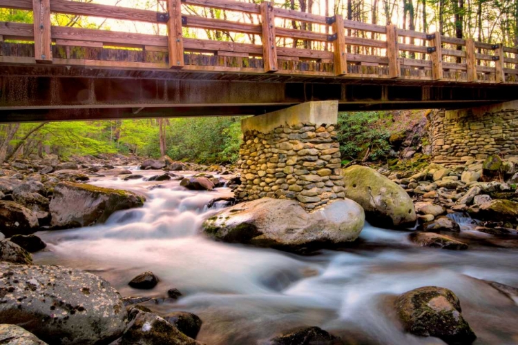 Picture of BRIDGE AND CASCADE III