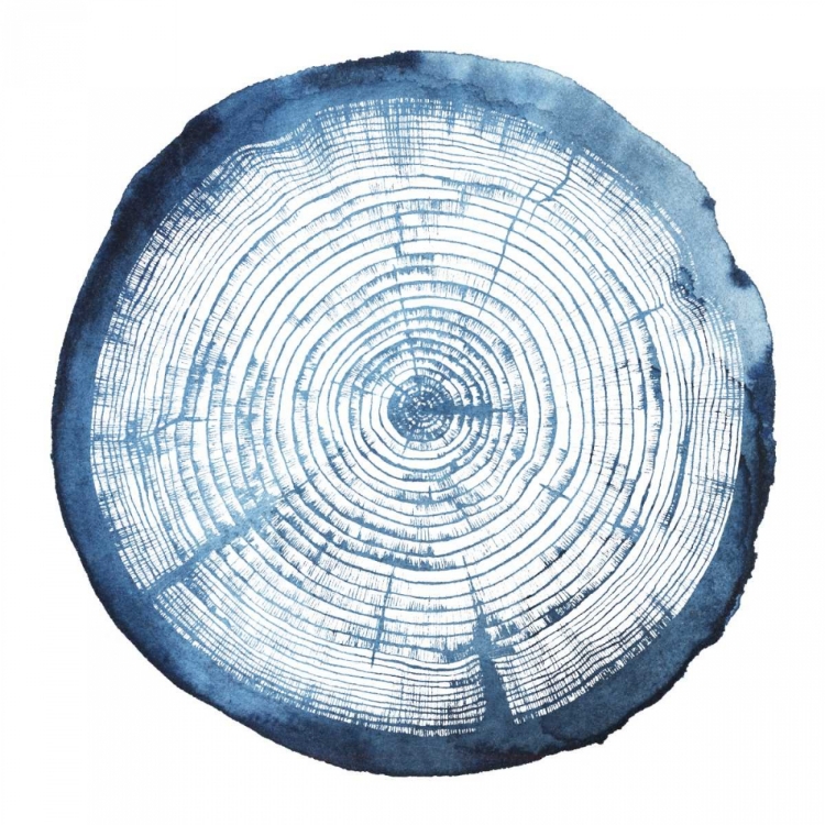 Picture of TREE RING OVERLAY I