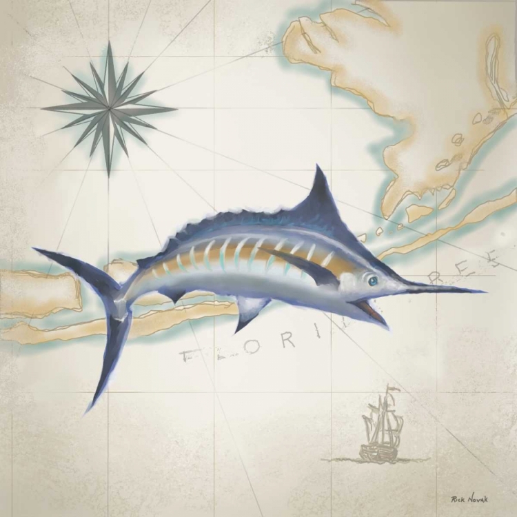 Picture of SAILFISH MAP I