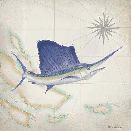 Picture of SAILFISH MAP II