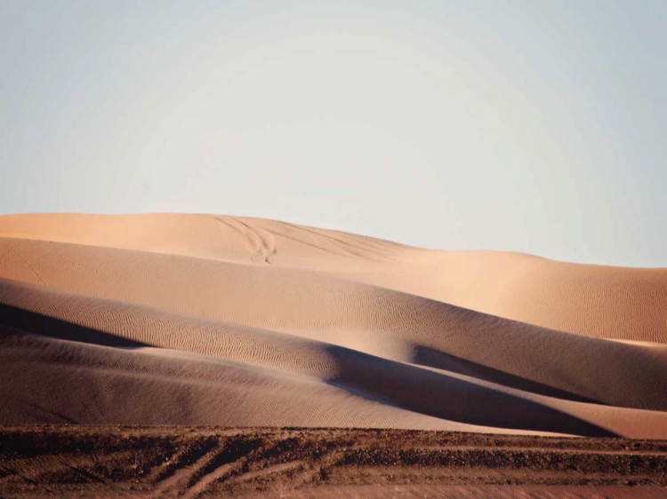 Picture of SAND DUNES I