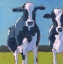 Picture of COW PALS I