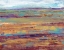 Picture of TERRA VISTA III