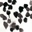 Picture of MONOCHROME GESTURES II