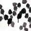 Picture of MONOCHROME GESTURES VII