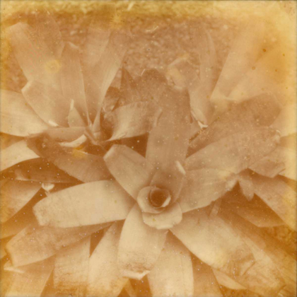 Picture of HALIA ALOHA I