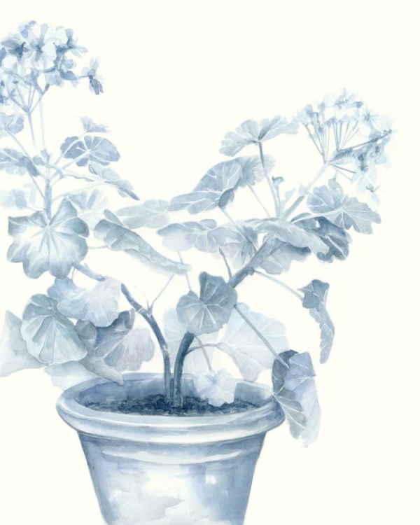 Picture of BLUE GERANIUM I