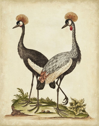 Picture of ANTIQUE BIRD MENAGERIE VII