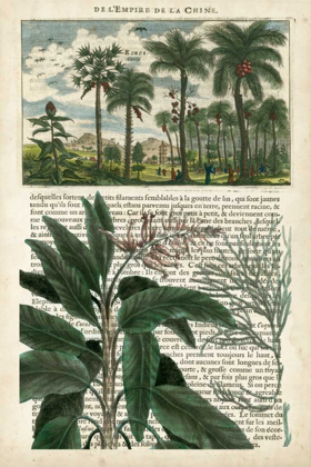 Picture of JOURNAL OF THE TROPICS I