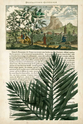 Picture of JOURNAL OF THE TROPICS II