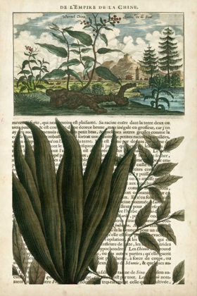 Picture of JOURNAL OF THE TROPICS III