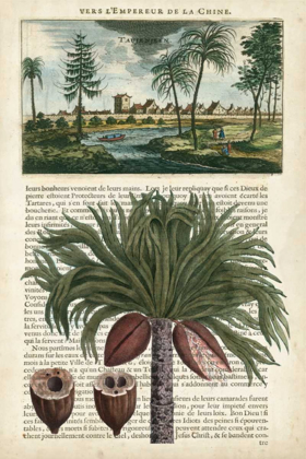 Picture of JOURNAL OF THE TROPICS IV