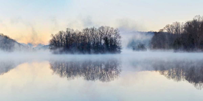 Picture of SCENE ON THE WATER VIII