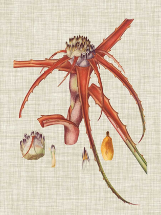 Picture of ELEGANT TROPICALS VI