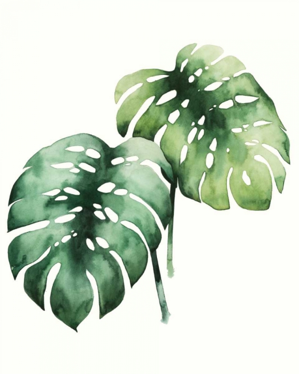 Picture of TROPICAL PLANT I